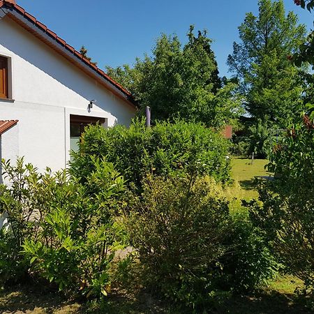 Ferienhaus In Bernau Bei Berlin Leilighet Eksteriør bilde